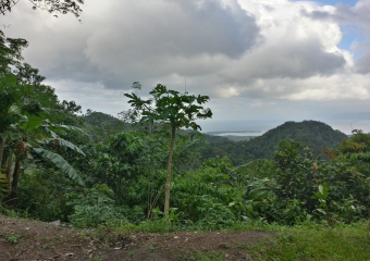 PNG_20131013_163243_HDR