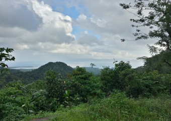 PNG_20131013_163301_HDR